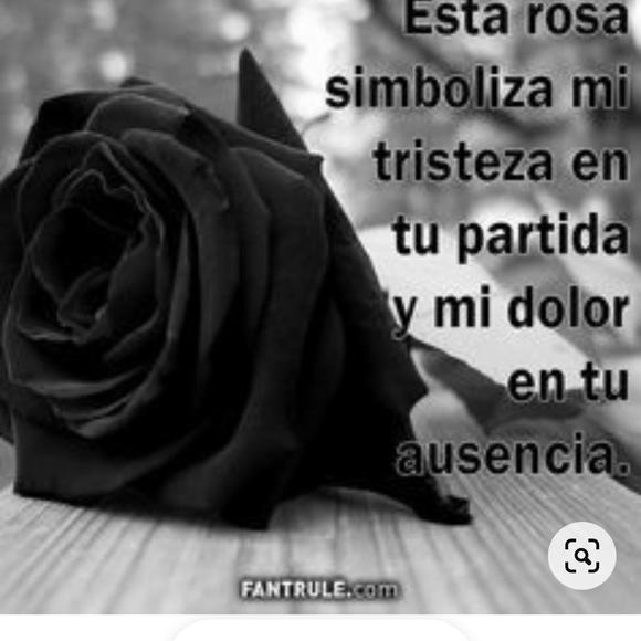 Meet your Posher, Yadira - Picture 1 of 1